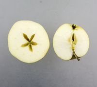 Svindinge æble
